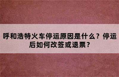 呼和浩特火车停运原因是什么？停运后如何改签或退票？