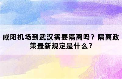 咸阳机场到武汉需要隔离吗？隔离政策最新规定是什么？