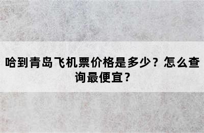 哈到青岛飞机票价格是多少？怎么查询最便宜？