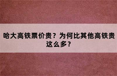 哈大高铁票价贵？为何比其他高铁贵这么多？