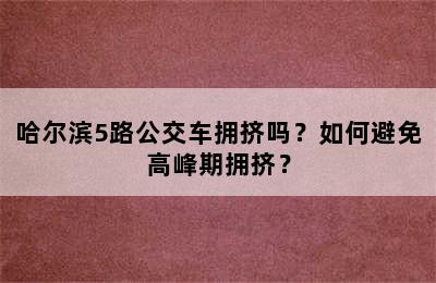 哈尔滨5路公交车拥挤吗？如何避免高峰期拥挤？