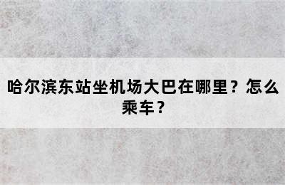 哈尔滨东站坐机场大巴在哪里？怎么乘车？