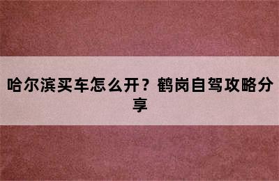 哈尔滨买车怎么开？鹤岗自驾攻略分享