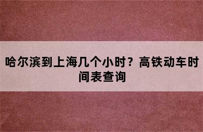 哈尔滨到上海几个小时？高铁动车时间表查询