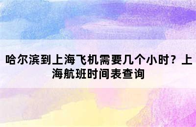 哈尔滨到上海飞机需要几个小时？上海航班时间表查询