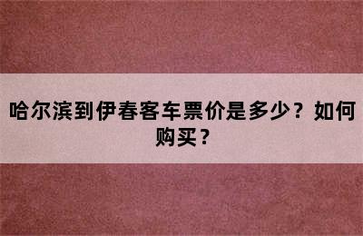 哈尔滨到伊春客车票价是多少？如何购买？