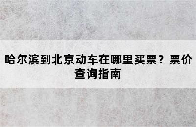 哈尔滨到北京动车在哪里买票？票价查询指南