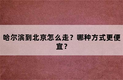 哈尔滨到北京怎么走？哪种方式更便宜？