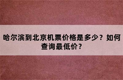 哈尔滨到北京机票价格是多少？如何查询最低价？