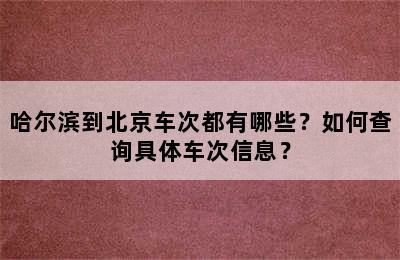 哈尔滨到北京车次都有哪些？如何查询具体车次信息？