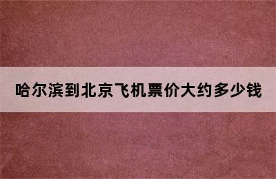 哈尔滨到北京飞机票价大约多少钱