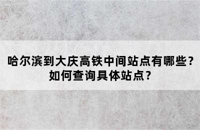 哈尔滨到大庆高铁中间站点有哪些？如何查询具体站点？