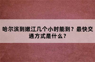 哈尔滨到嫩江几个小时能到？最快交通方式是什么？