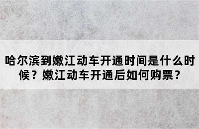 哈尔滨到嫩江动车开通时间是什么时候？嫩江动车开通后如何购票？
