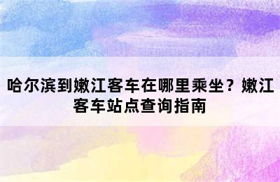 哈尔滨到嫩江客车在哪里乘坐？嫩江客车站点查询指南