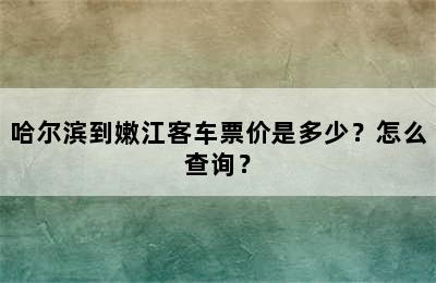 哈尔滨到嫩江客车票价是多少？怎么查询？