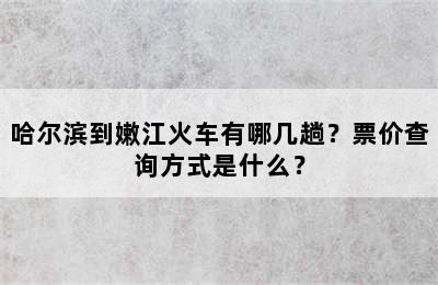 哈尔滨到嫩江火车有哪几趟？票价查询方式是什么？