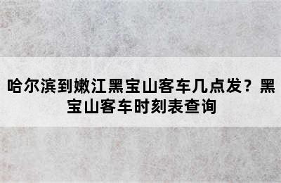 哈尔滨到嫩江黑宝山客车几点发？黑宝山客车时刻表查询