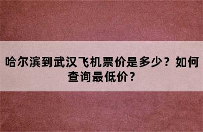 哈尔滨到武汉飞机票价是多少？如何查询最低价？