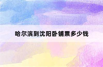 哈尔滨到沈阳卧铺票多少钱