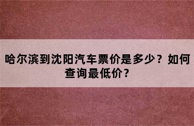 哈尔滨到沈阳汽车票价是多少？如何查询最低价？