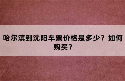 哈尔滨到沈阳车票价格是多少？如何购买？
