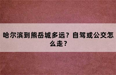 哈尔滨到熊岳城多远？自驾或公交怎么走？
