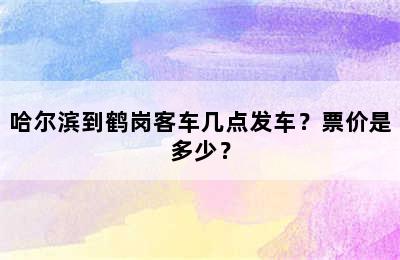 哈尔滨到鹤岗客车几点发车？票价是多少？