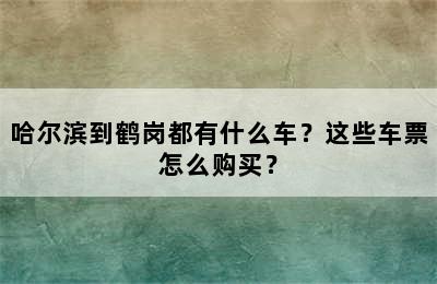 哈尔滨到鹤岗都有什么车？这些车票怎么购买？