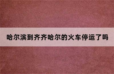 哈尔滨到齐齐哈尔的火车停运了吗