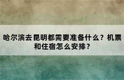 哈尔滨去昆明都需要准备什么？机票和住宿怎么安排？