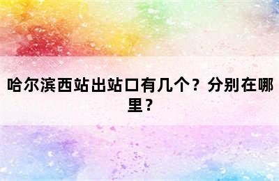 哈尔滨西站出站口有几个？分别在哪里？