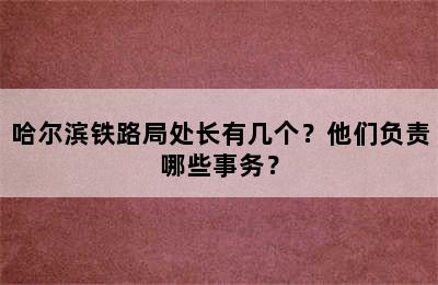 哈尔滨铁路局处长有几个？他们负责哪些事务？