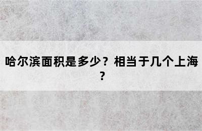 哈尔滨面积是多少？相当于几个上海？