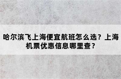 哈尔滨飞上海便宜航班怎么选？上海机票优惠信息哪里查？