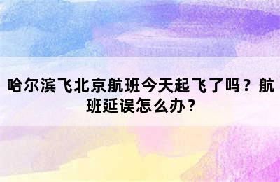 哈尔滨飞北京航班今天起飞了吗？航班延误怎么办？