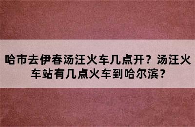 哈市去伊春汤汪火车几点开？汤汪火车站有几点火车到哈尔滨？