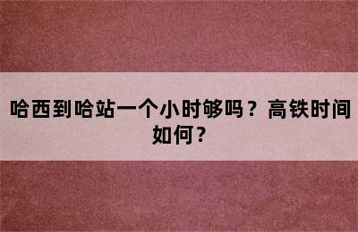 哈西到哈站一个小时够吗？高铁时间如何？