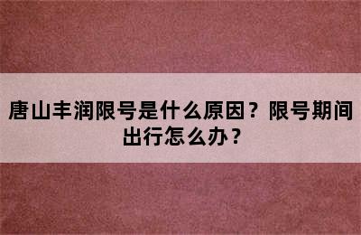 唐山丰润限号是什么原因？限号期间出行怎么办？