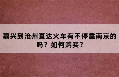 嘉兴到沧州直达火车有不停靠南京的吗？如何购买？