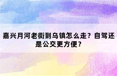 嘉兴月河老街到乌镇怎么走？自驾还是公交更方便？