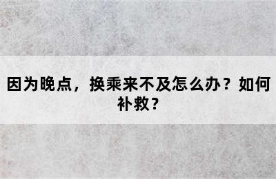 因为晚点，换乘来不及怎么办？如何补救？