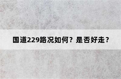 国道229路况如何？是否好走？