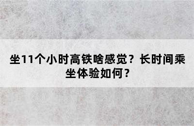 坐11个小时高铁啥感觉？长时间乘坐体验如何？
