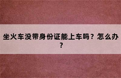 坐火车没带身份证能上车吗？怎么办？