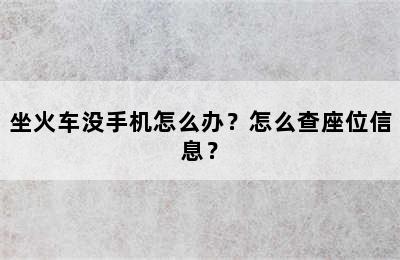 坐火车没手机怎么办？怎么查座位信息？