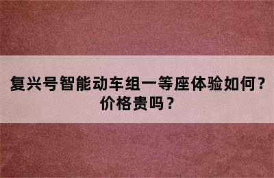 复兴号智能动车组一等座体验如何？价格贵吗？