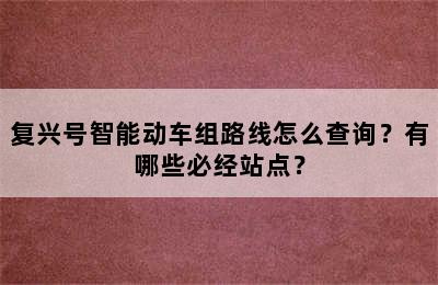复兴号智能动车组路线怎么查询？有哪些必经站点？