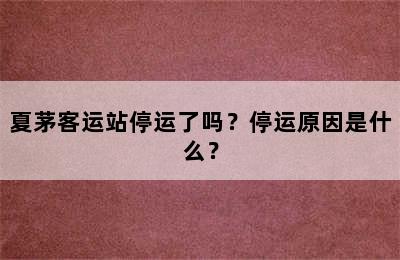 夏茅客运站停运了吗？停运原因是什么？