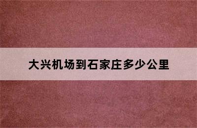 大兴机场到石家庄多少公里